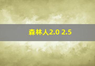 森林人2.0 2.5